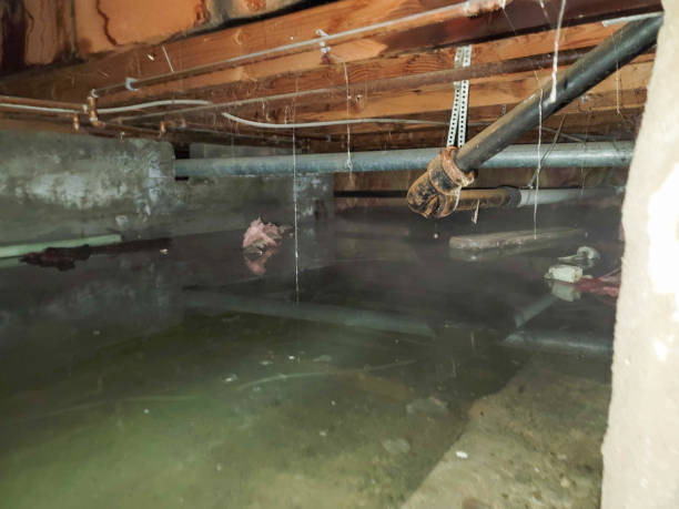 24/7 water damage repair in MO