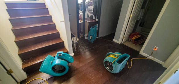 Best 24/7 water damage repair  in Lakeshire, MO
