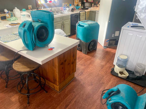 Best Professional water damage repair  in Lakeshire, MO
