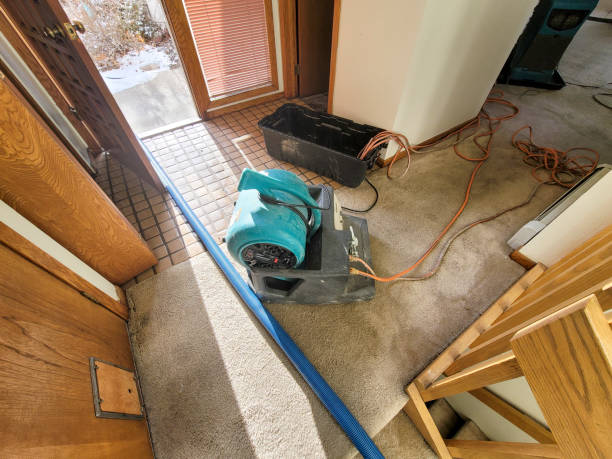 Best Water damage repair service  in Lakeshire, MO