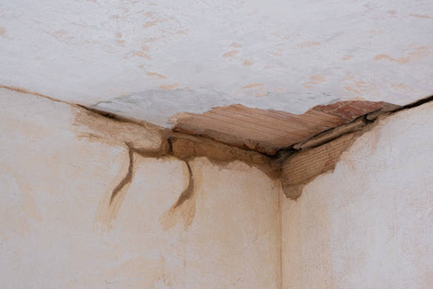 Best Mold removal after water damage  in Lakeshire, MO