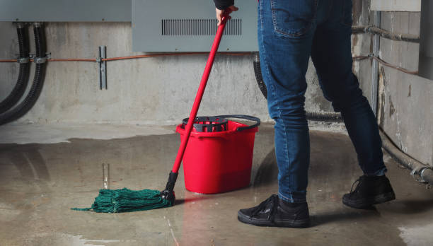 Best Basement water damage restoration  in Lakeshire, MO
