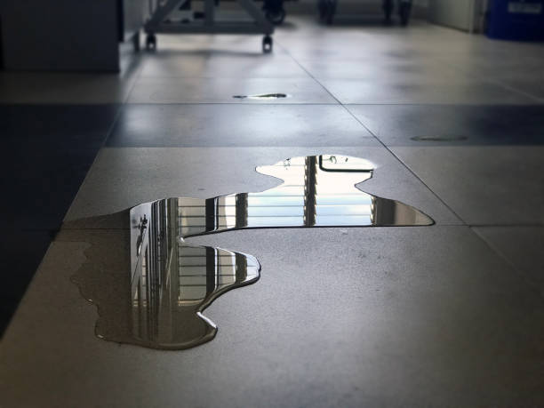 Best Water damage cleanup near me  in Lakeshire, MO