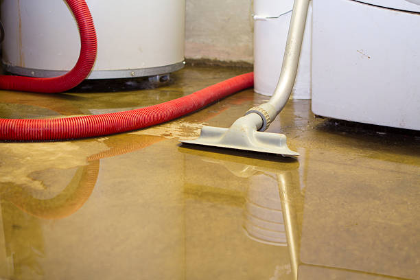 Best Carpet water damage restoration  in Lakeshire, MO
