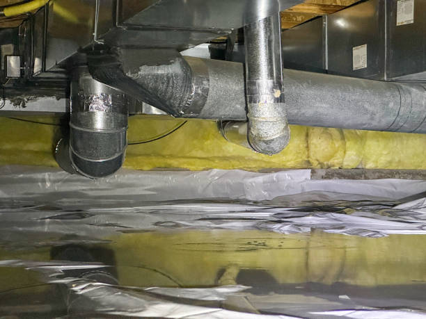 Best Fire Damage Restoration  in Lakeshire, MO