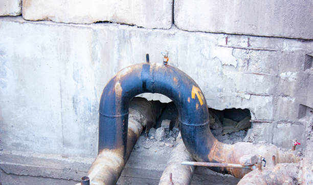Best Water damage contractors near me  in Lakeshire, MO