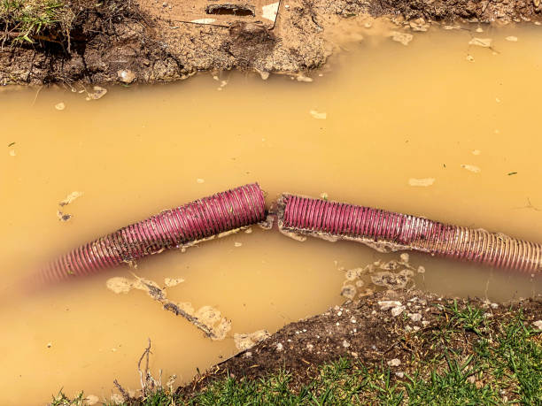 Best Sewage cleanup and water damage restoration  in Lakeshire, MO