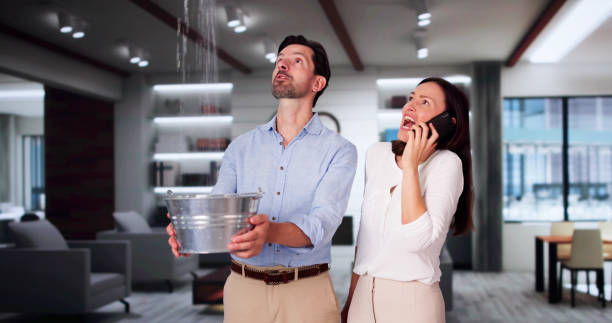 Best Local water damage restoration  in Lakeshire, MO