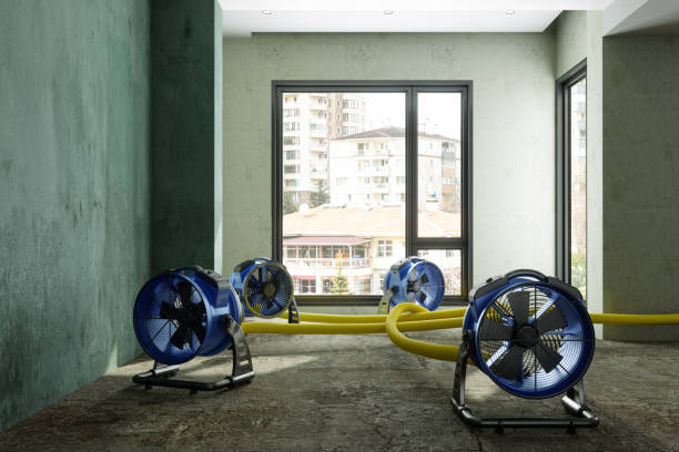 Best Water damage restoration near me  in Lakeshire, MO